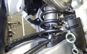 TRIUMPH TF250-X