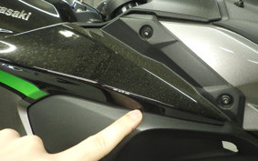 KAWASAKI ZH2 2020 ZRT00K