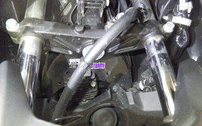 YAMAHA X-MAX 250 SG70J