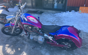 HARLEY HARLEY FXDL1580 1993 GDL