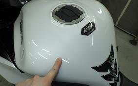 KAWASAKI NINJA 1100SX 2025 ZXT10H