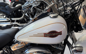 HARLEY FLSTC 2007 BW5