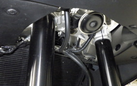 YAMAHA XSR900 GP 2024 RN96J