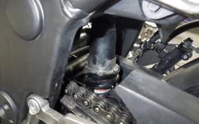 KAWASAKI NINJA 250 EX250L