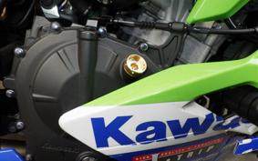 KAWASAKI ZX-25R 1992 ZX250E