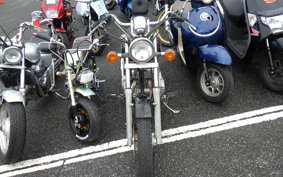 HONDA REBEL 250 MC13