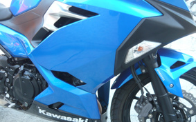 KAWASAKI Ninja 250 ABS EX250P