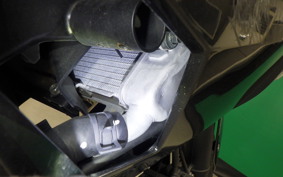 KAWASAKI NINJA 250 EX250P