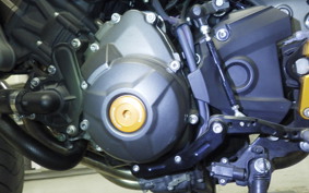 YAMAHA MT-09 A 2015 RN34J