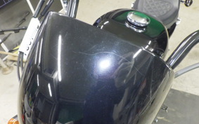 HARLEY XL1200NS 2019