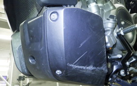 HARLEY RH975 2022