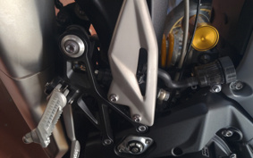TRIUMPH STREET TRIPLE 765 RS 2023 HDA614