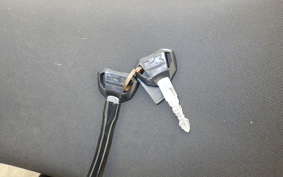 KAWASAKI Z125 PRO BR125H