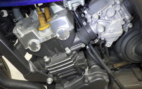 HONDA HORNET 250 2019 MC31