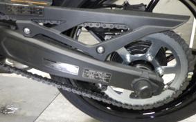 KAWASAKI ZX-25RR 2016 ZX250H