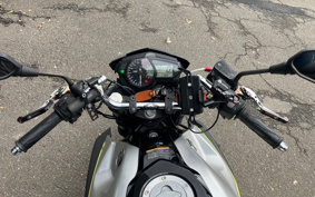 YAMAHA MT-25 RG10J
