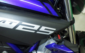 YAMAHA MT-25 1999 RG43J