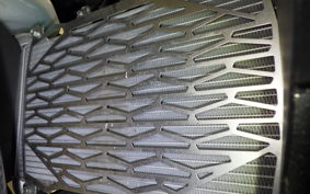 KAWASAKI NINJA 250 2019 EX250Y