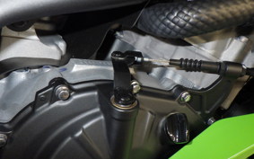 KAWASAKI ZX-4RR 2025 ZX400P