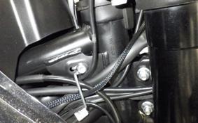 OTHER +ENFIELD ﾋﾏﾗﾔﾝ450 2025