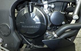 KAWASAKI Z250 SL 2016 BR250E