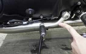 TRIUMPH SPEED TWIN 900 2024