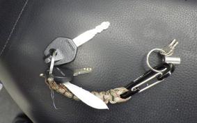 SUZUKI ADDRESS 110 CF11A