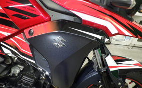 SUZUKI V-STROM 250
