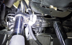 SUZUKI GSX250 R 1999