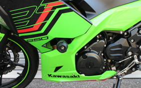 KAWASAKI NINJA 250 KRT ED EX250P