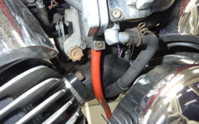 YAMAHA VIRAGO 250 2021 3DM