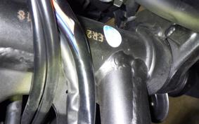 KAWASAKI Z250 ER250C