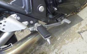 KAWASAKI ZRX1200 D 2009 ZRT20D