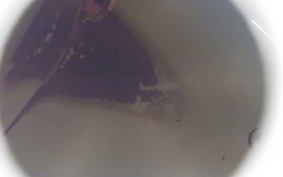 OTHER +HD. FLSTN1340 1994