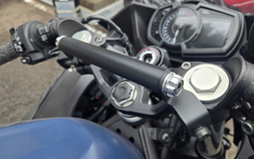 KAWASAKI NINJA 250 EX250Y