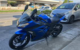 KAWASAKI NINJA 250 EX250L