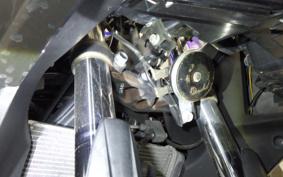 YAMAHA YZF-R3 2015 RH07J