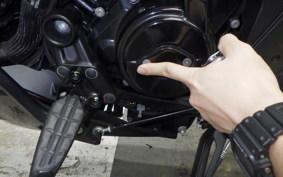 DUCATI XディアベルV4 2025