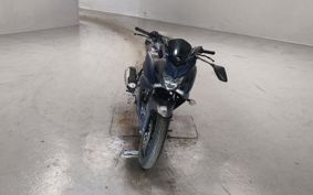 YAMAHA FATHER 250 RG42