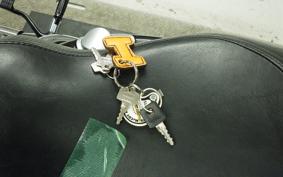 HARLEY XL1200N 2008