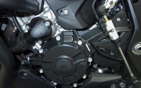BMW S1000XR 2024