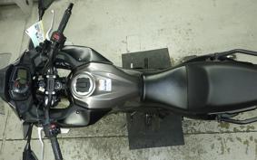 KAWASAKI VERSYS-X 250 A 1999 LE250D