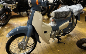 HONDA  SUPER CUB 50 FINAL ED AA09
