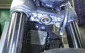 DUCATI SCRAMBLER ICON 2021