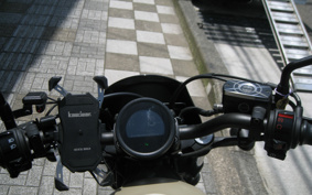 HONDA  REBEL 250 ABS MC49