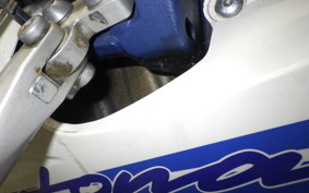 TRIUMPH DAYTONA 675 2009