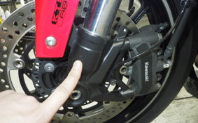 KAWASAKI NINJA 1000SX 2024 ZXT02K