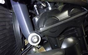 TRIUMPH STREET TRIPLE R 2010