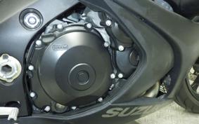 SUZUKI GSX-R1000 2010