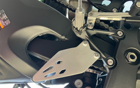 KAWASAKI NINJA ZX-6R ABS 2025 ZX636J